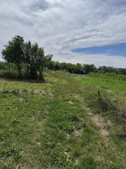 Teren de 5686 mp, în Șimleu Silvaniei