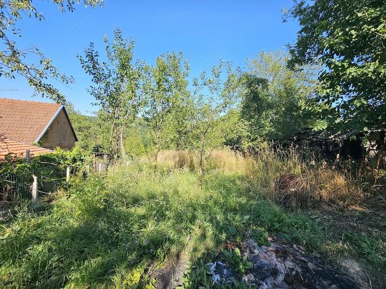 Casă cu Teren 8338 Mp în Făgețel