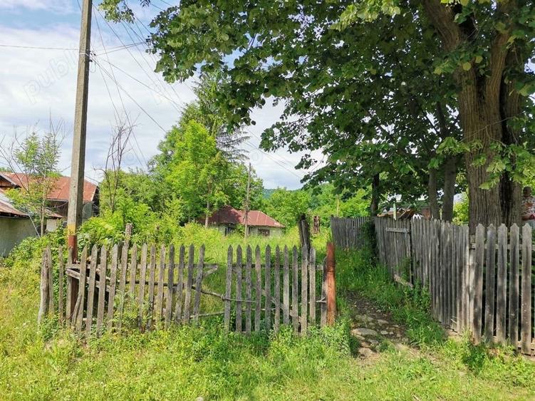 Teren de 2000 mp, în Cosmina de Sus