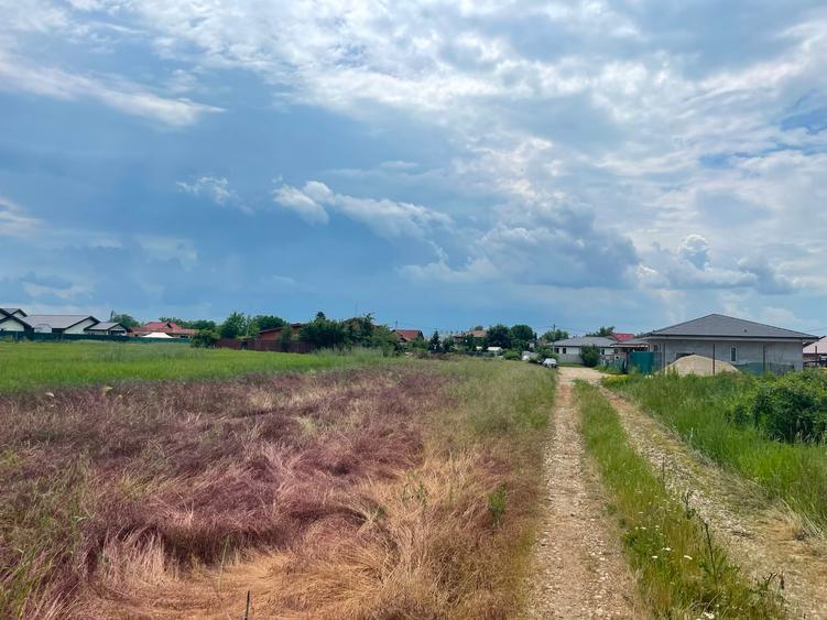 Teren Construcții intravilan de 22000 mp, în Dumbrăveni