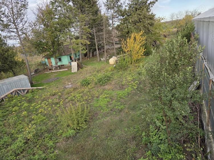 Teren de 9970 mp, în Chirnogi