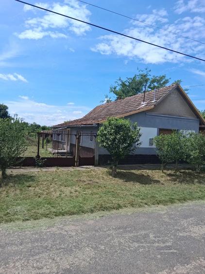 Casă cu 3 camere cu Teren 1500 Mp în Central