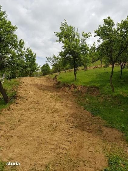 Teren de 4120 mp, în Uric