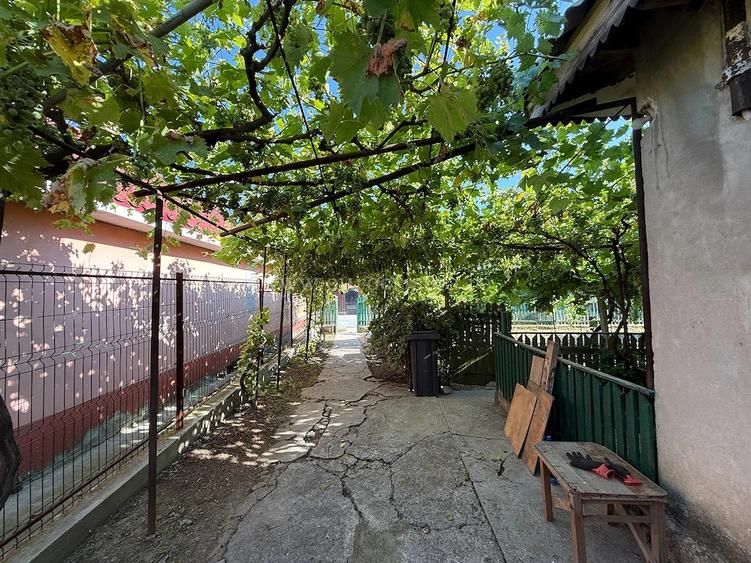 Casă cu Teren 1531 Mp în Pecineaga