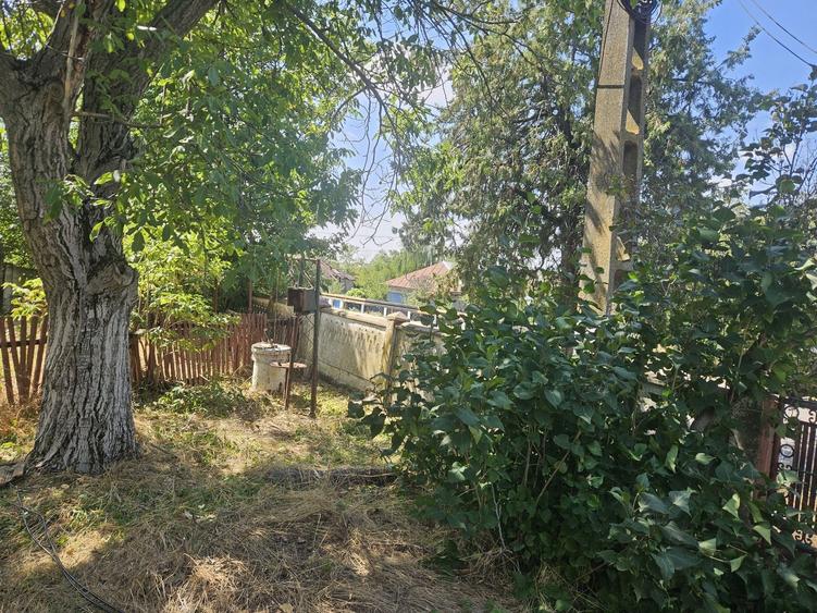 Casă cu 3 camere în Vitănești