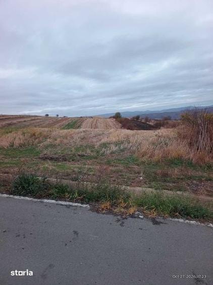Teren de 5800 mp, în Baciu