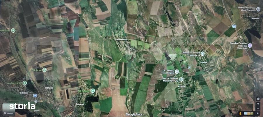 Teren intravilan 50.000 mp Iepureni - 1