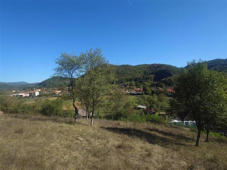 Teren Construcții extravilan de 14075 mp, în Crișcior