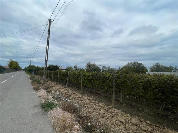 Teren Construcții intravilan de 1000 mp, în Iazurile