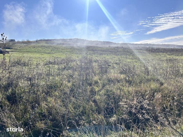 Teren Cighir extravilan 5 ha - 25 ha / 700 EURO AR - 3