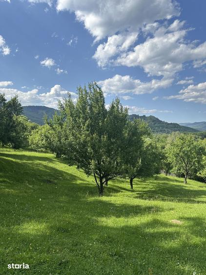 Teren de 10000 mp, în Șotrile