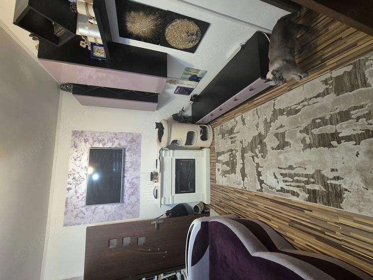 Apartament cu 2 camere semidecomandat în Valea Rosie
