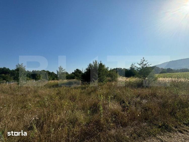 Teren de 4000 mp, în Dărmănești