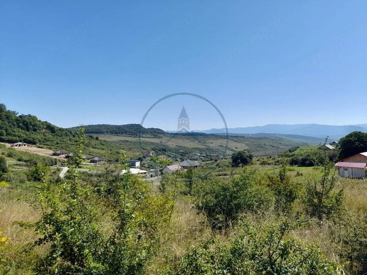 TEREN 990MP,VALEA JELNII - 1