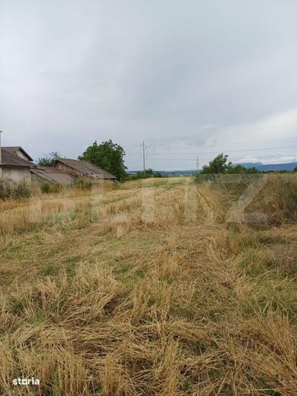 Teren intravilan 6000 mp cu 2 fronturi, parcelabil - 4