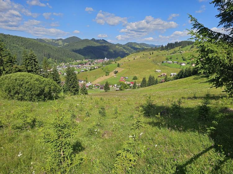 Teren extravilan de vanzare cu priveliste superba in Bucovina zona Breaza - 8