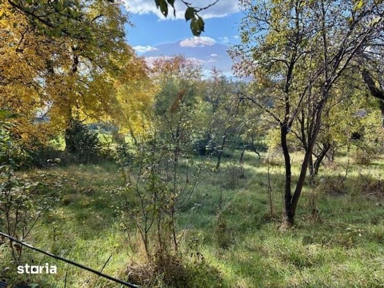 Casă cu 2 camere cu Teren 1449 Mp în Ocna Șugatag
