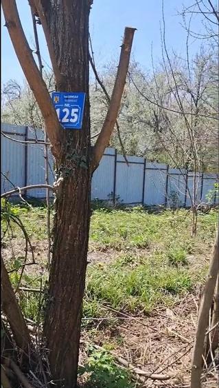 Teren de 3000 mp, în Cernelele