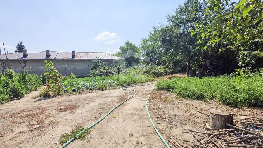 Teren Construcții intravilan de 1143 mp, în Țegheș