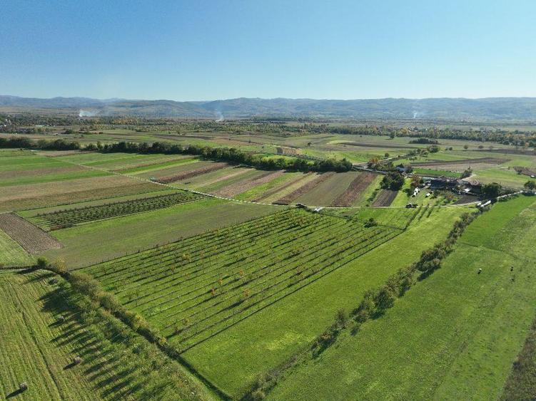 Teren intravilan de 14527 mp, în Aușeu