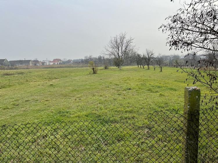 Teren Construcții intravilan de 2104 mp, în Sânmihaiu Român