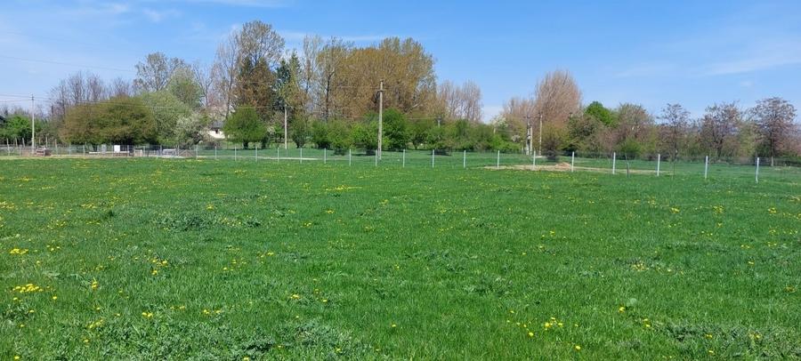 Teren Construcții intravilan de 9900 mp, în Mușcel