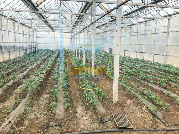 Spațiu industrial, de 1,111 mp, în Fântâna Doamnei