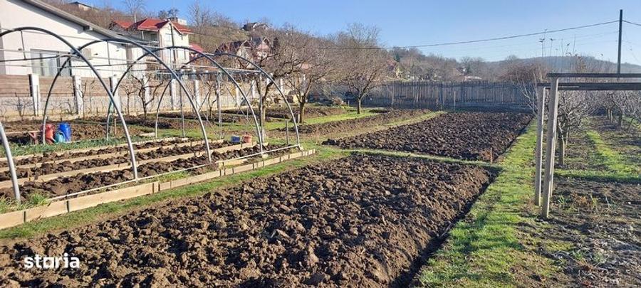 Teren de 650 mp, în Crăciunești
