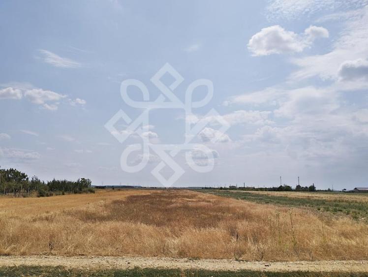 Teren intravilan de vanzare, 3000 mp in Gepiu, Bihor - 1