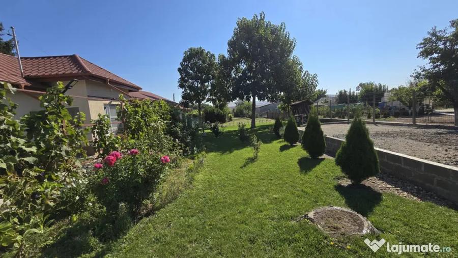 MIHAIL KOGALNICEANU - CASA LA SOL, 3 CAMERE ,TEREN 2000 MP - Tulcea (Tulcea) - 11