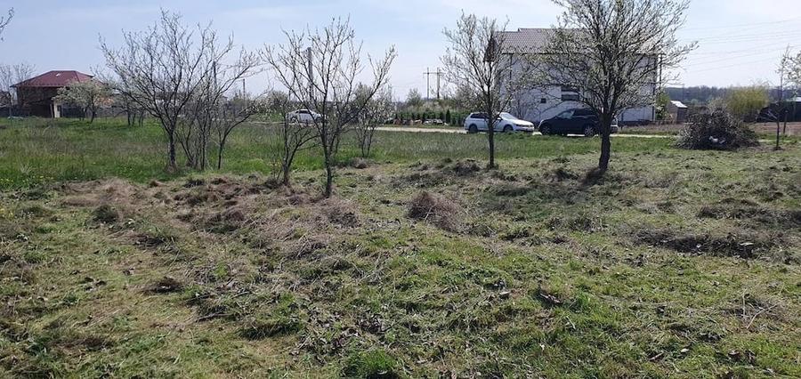 Teren de 500 mp, în Central