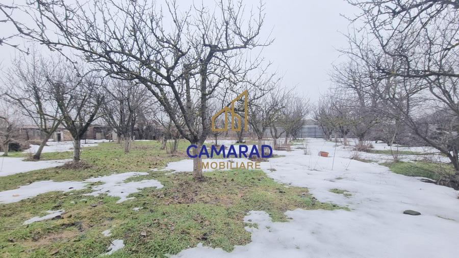 Casă individuală cu 3 camere cu Teren 1400 Mp în Tămădău Mare
