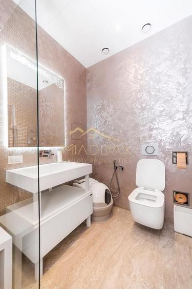 Penthouse cu 5 camere *347mp* + terasa 101mp* // Zona Herastrau - 20