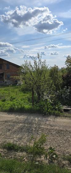 Teren de 5000 mp, în Vernești