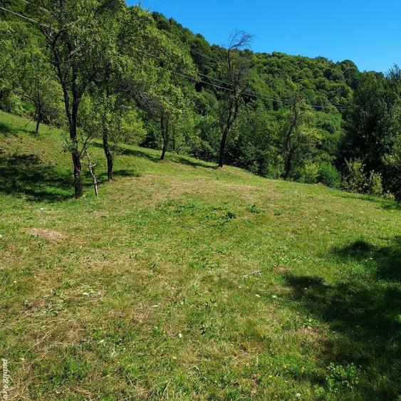 Teren de 3800 mp, în Arefu