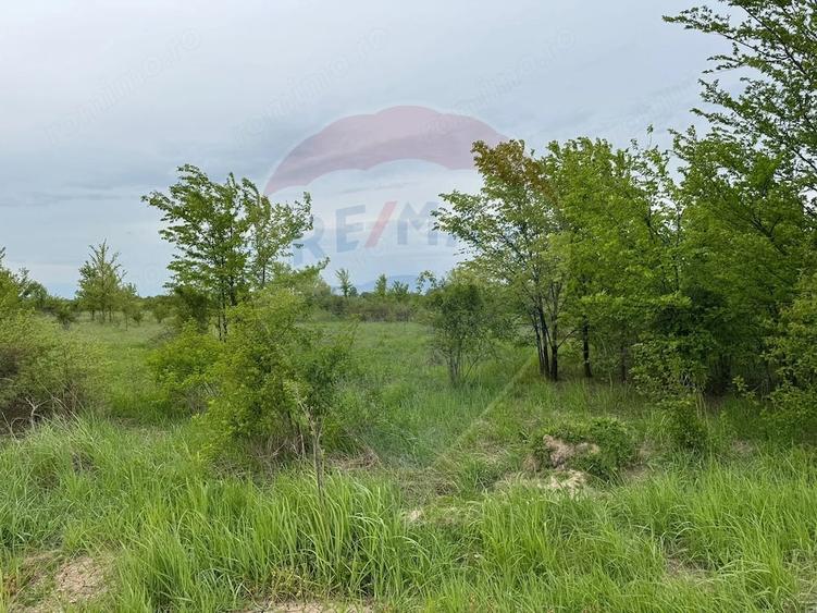Teren de 960 mp, în Ciolpani