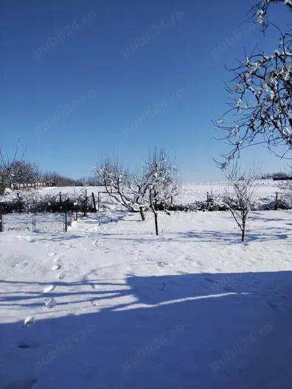 Casă cu Teren 5800 Mp în Călinești (Bucecea)