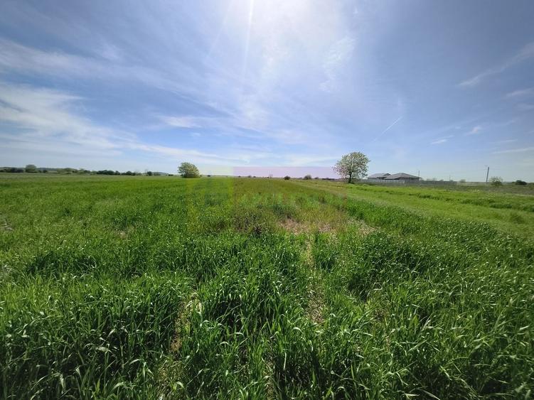 Teren Construcții intravilan de 2200 mp, în Dărăști-Ilfov
