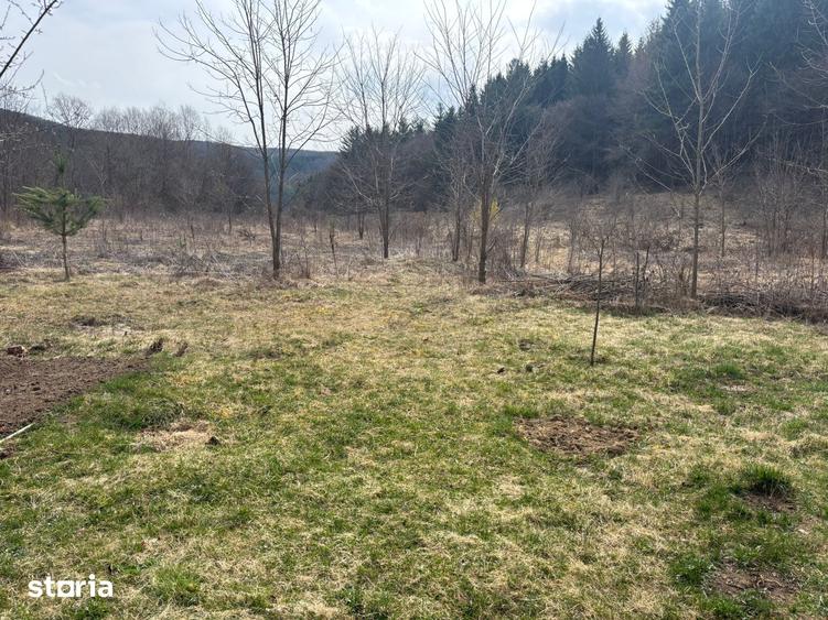 Teren de 2841 mp, în Făget