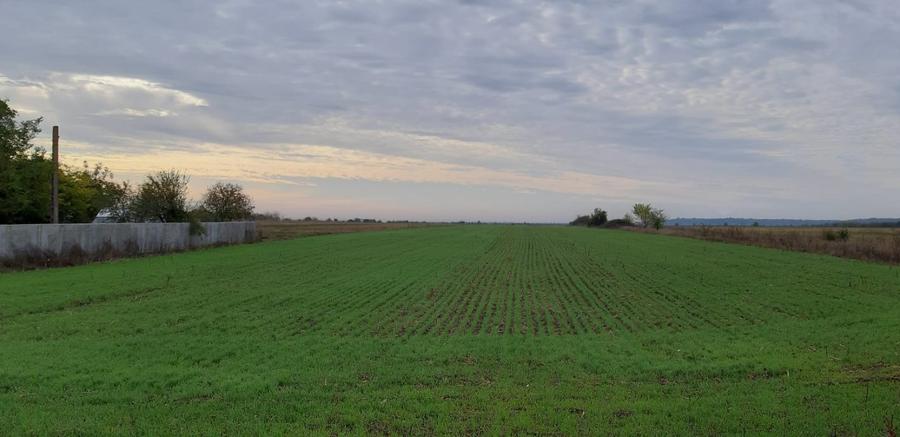 Teren Construcții intravilan de 9788 mp, în Crevedia