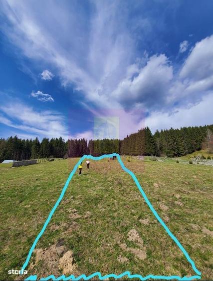 Teren intravilan 2500 mp in Valea Doftanei - 3