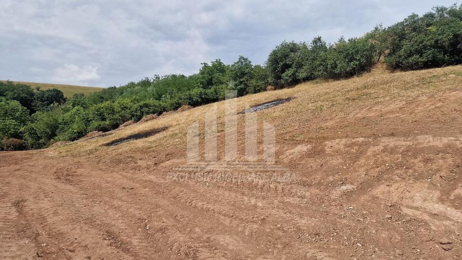 Teren Construcții intravilan de 2000 mp, în Șard