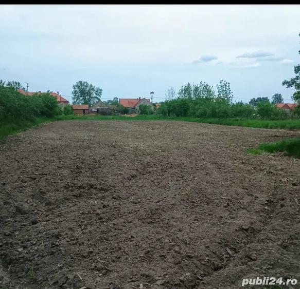 Casă cu 3 camere cu Teren 3000 Mp în Căpăt