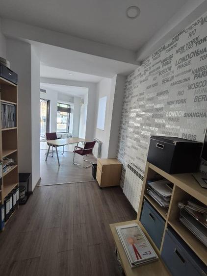 Proprietar,sp.comercial,cabinet,salon,agentie,Tineretului-Parcul Carol - 4