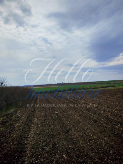 Teren agricol intravilan de 3700 mp, în Vest
