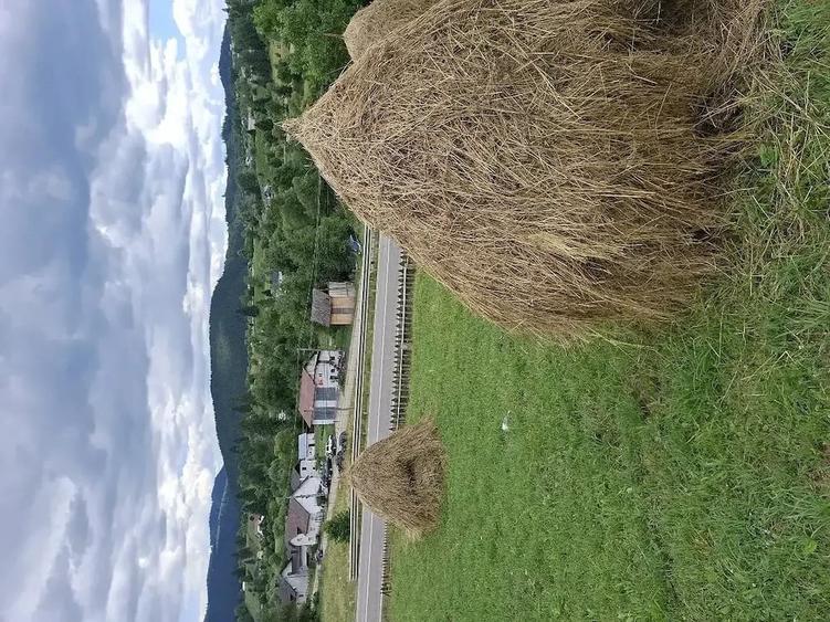 Teren de 600 mp, în Paltin