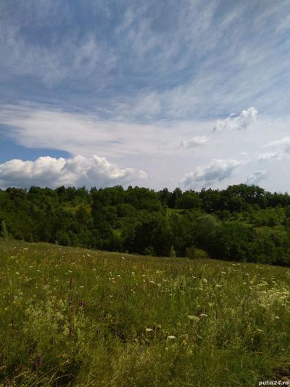 Teren de 3600 mp, în Aluniș