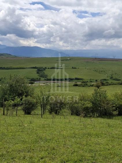 Teren de 11500 mp, în Daia