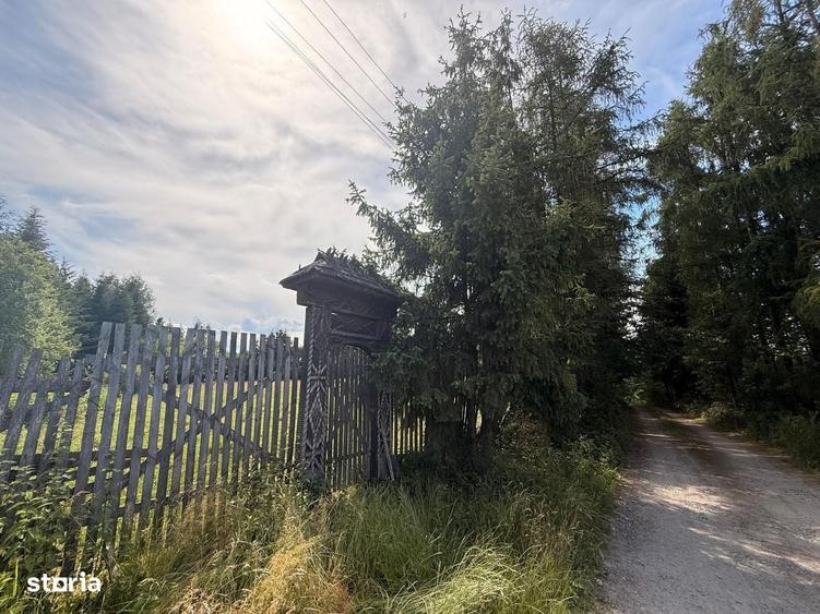 Teren intravilan 5.755 mp | Zona Muzeul Satului Maramuresean, Sighetu - 6