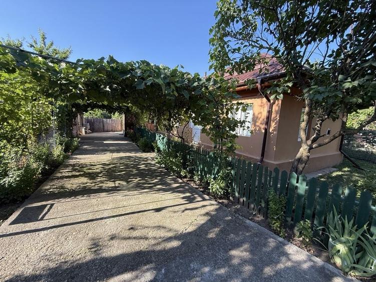 Casa de vanzare / com. Gherghita / 4 camere / Baie / Bucatarie / Gaze / Centrala / 1.500 mp - 6